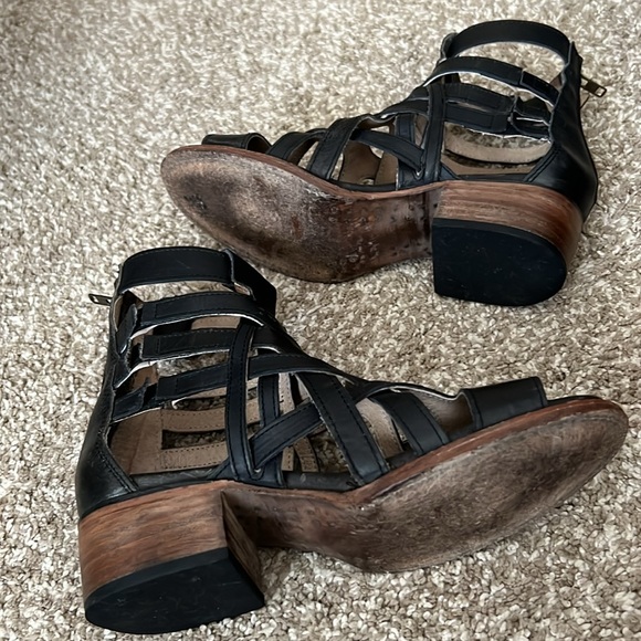 Freebird Gazelle 8 - Picture 6 of 11